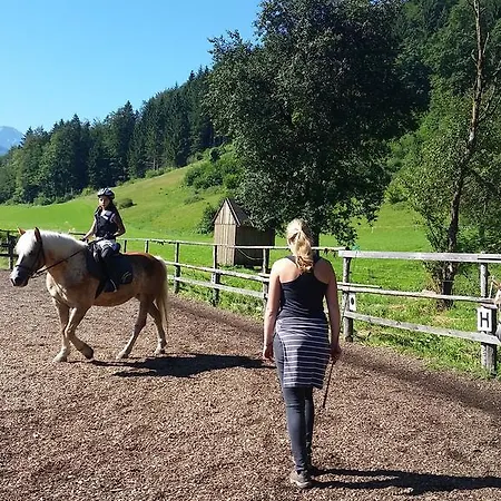 Biohof Und Reiterhof Laussabauer *