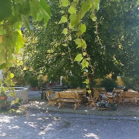 Biohof Und Reiterhof Laussabauer