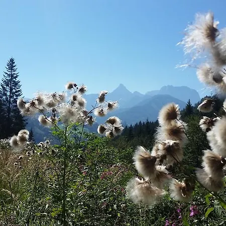 Biohof Und Reiterhof Laussabauer *