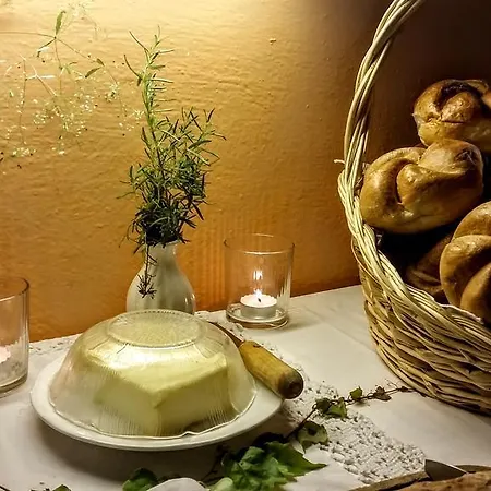 Biohof Und Reiterhof Laussabauer Apartament